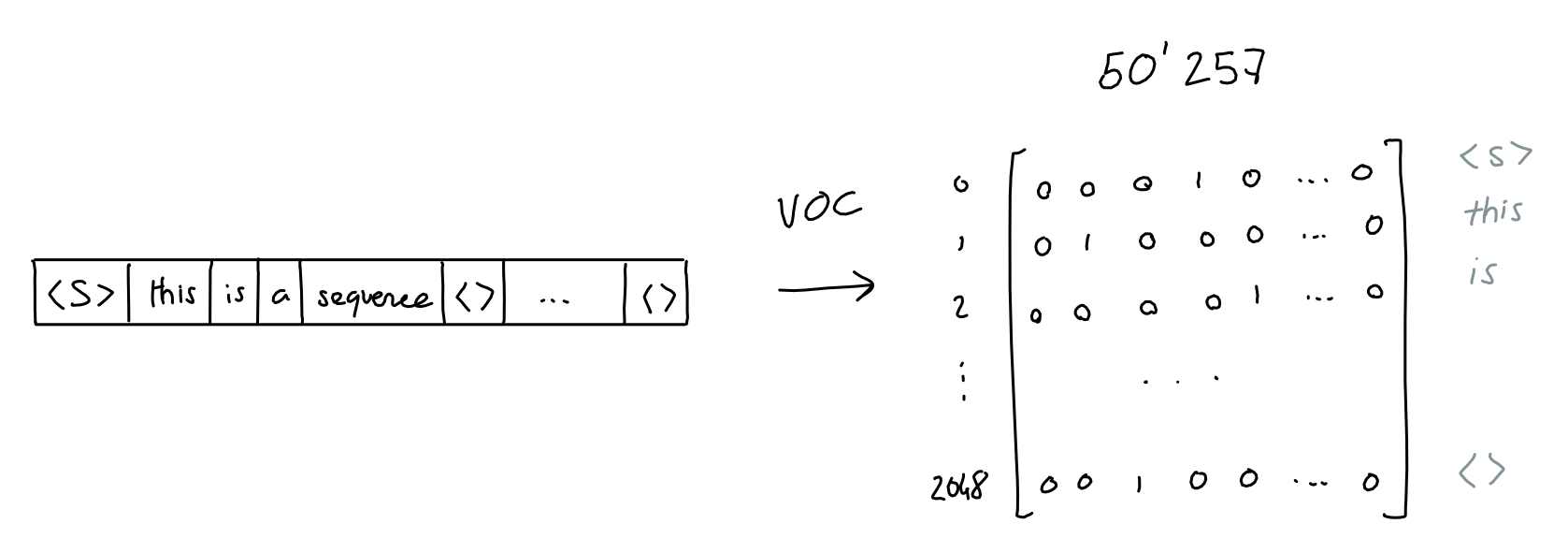 其结果是一个由1和0组成的2048*50257的矩阵