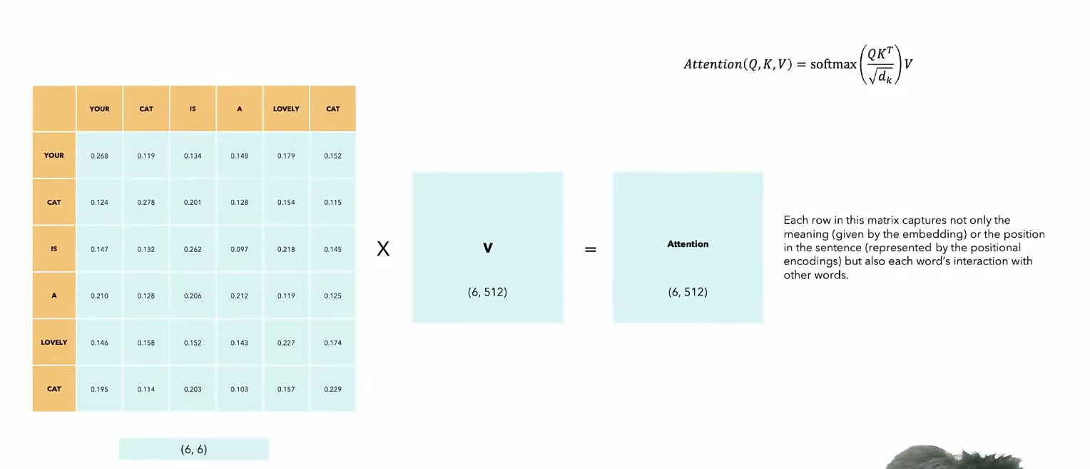 image-20260129141113570